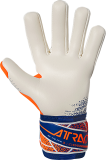 Reusch Attrakt Gold X NC 5570982 2500 2500 back